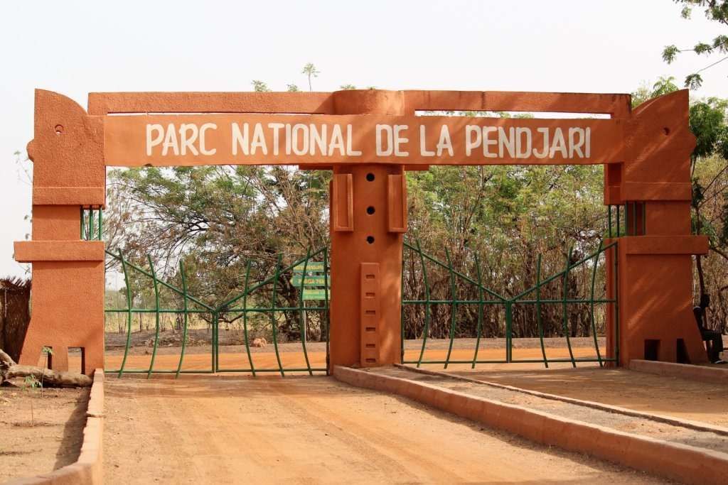 Safari Pendjari